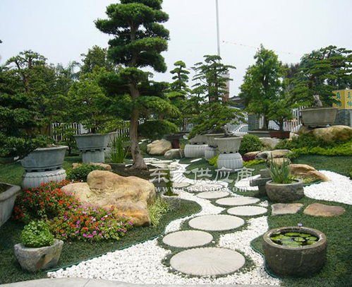 合肥道路景觀綠化工程施工 安徽天倫市政建設(shè)公司的專業(yè)實(shí)踐